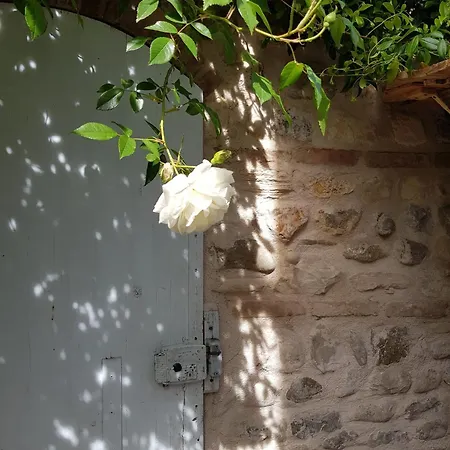 Casa Utopia Vakantiehuis SantʼArcangelo di Romagna